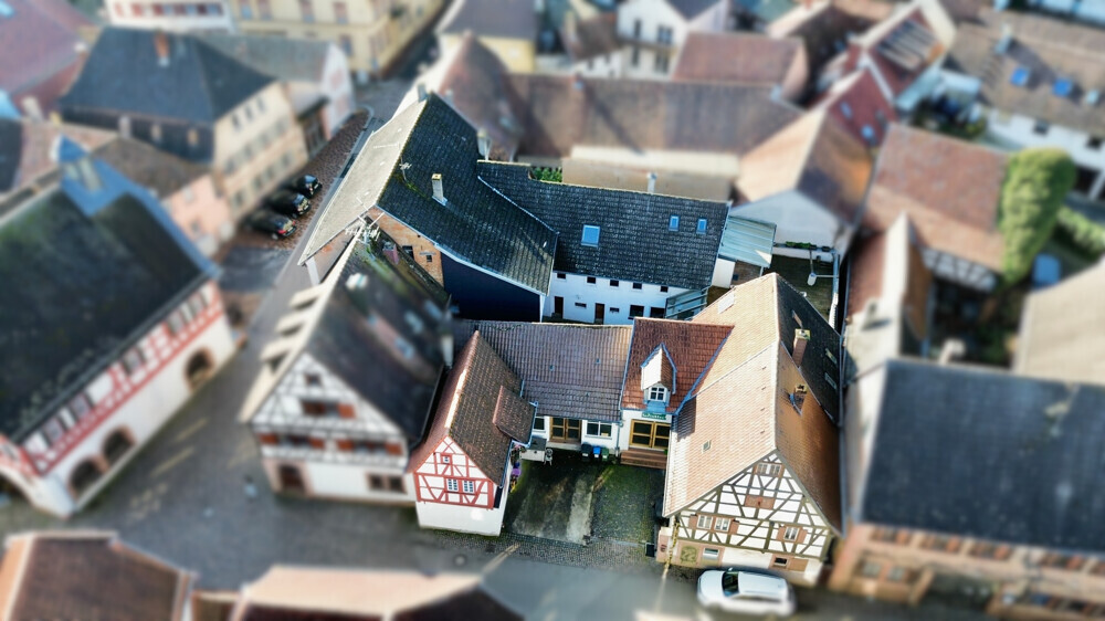 Vielseitiges Anwesen mit 5 Einheiten, Innenhof & ehemaliger Gewerbeeinheit in Ilbesheim-A1263963