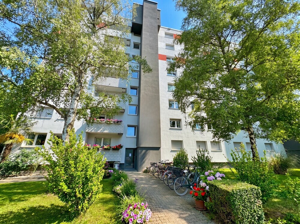 Gemütliches 1-Zimmer-Apartment in Frankenthal-10245