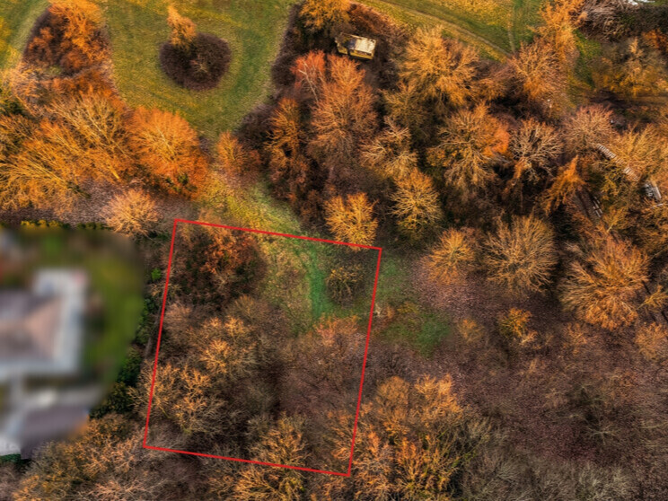 Großzügiges Hanggrundstück in naturnaher Wohnlage bei Weinheim – Raum für individuelle Wohnträume-10207